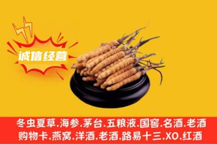 营口市回收冬虫夏草